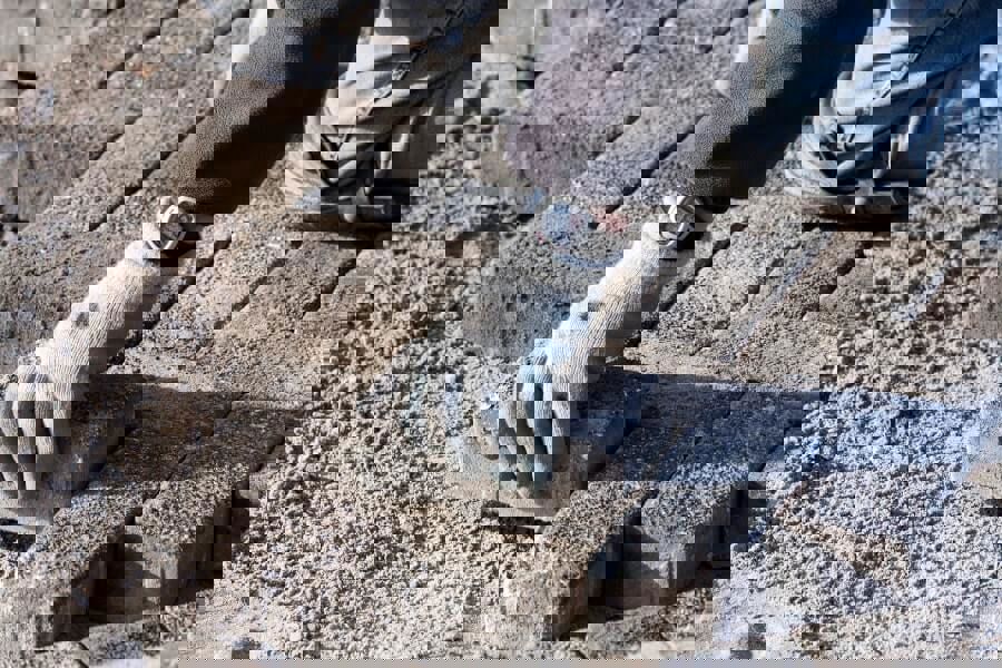 Person Laying Brick
