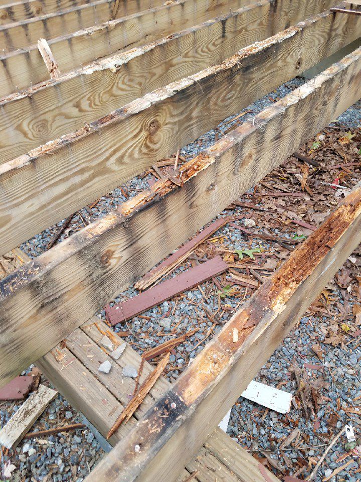 Wood Rot 7 Years