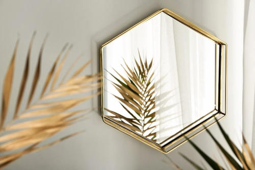 Artful Display Of Plants In Front Of A Mirror Creating Natural Beauty