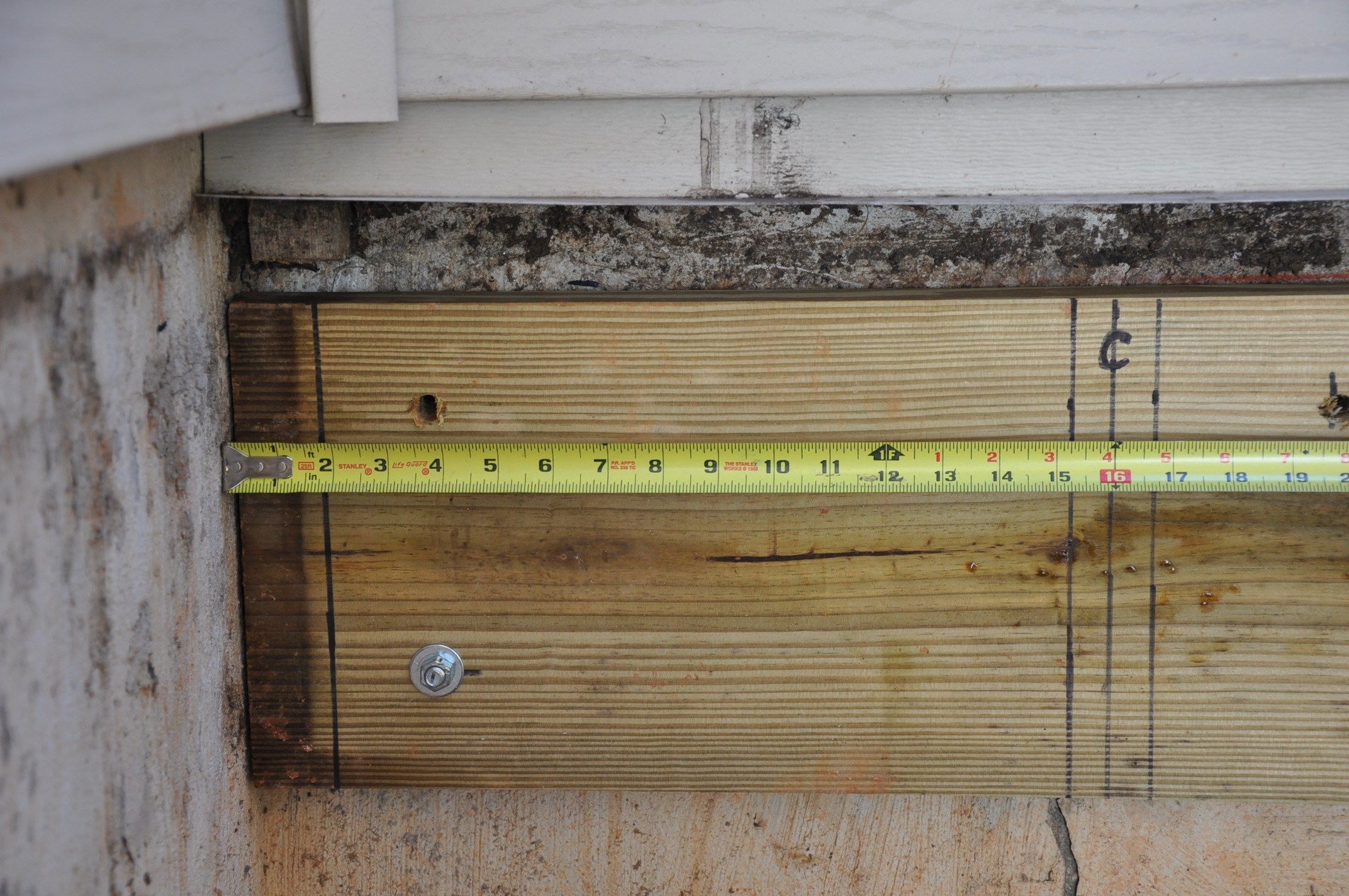 Layout your bolt