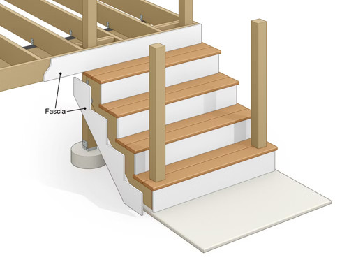 Fascia