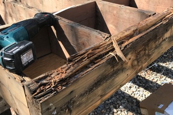 Wood Rot 3 Years