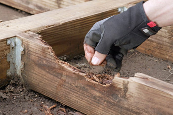 A gloved hand inspects a rotting wooden beam, highlighting significant decay. The setting is outdoors with soil and securing brackets visible. Tone is one of concern.