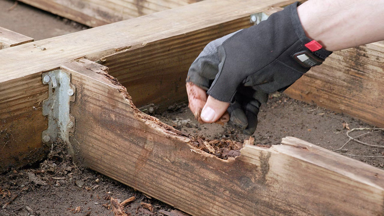 A gloved hand inspects a rotting wooden beam, highlighting significant decay. The setting is outdoors with soil and securing brackets visible. Tone is one of concern.